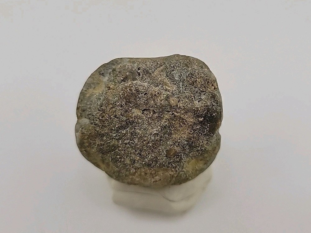 Real Permineralized Dinosaur Half Egg Embro Uv Reactive