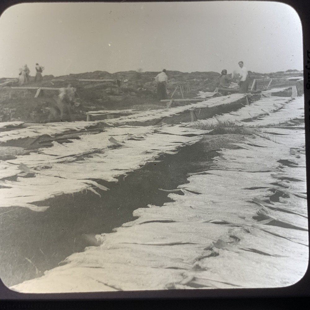 Vtg Keystone Magic Lantern Glass Slide Photo Norway Drying Codfish
