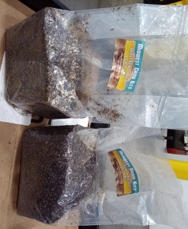 Complete Refill Kit for Large 66Q Monotub, Includes Grain Spawn & Bulk Substrate