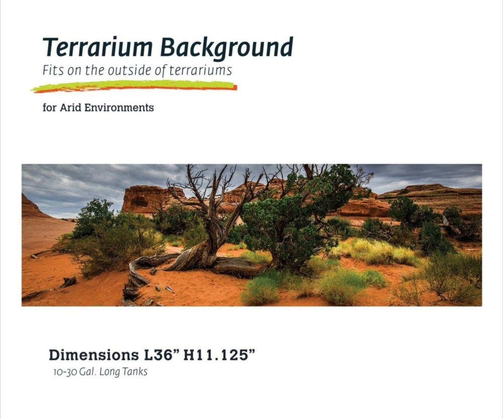 Galapagos Terrarium Cling - Arid Environment