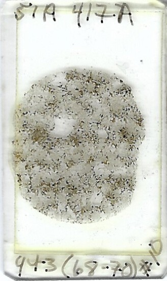 Thin-section Mount from DSDP Hole 417A Petrographic Microscope Slide 417A-94-3