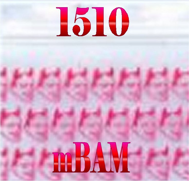 100 PACK RED DEVILS 1515 Apple Zip Baggies 1.5X1.5" POLYBAGS DEVIL
