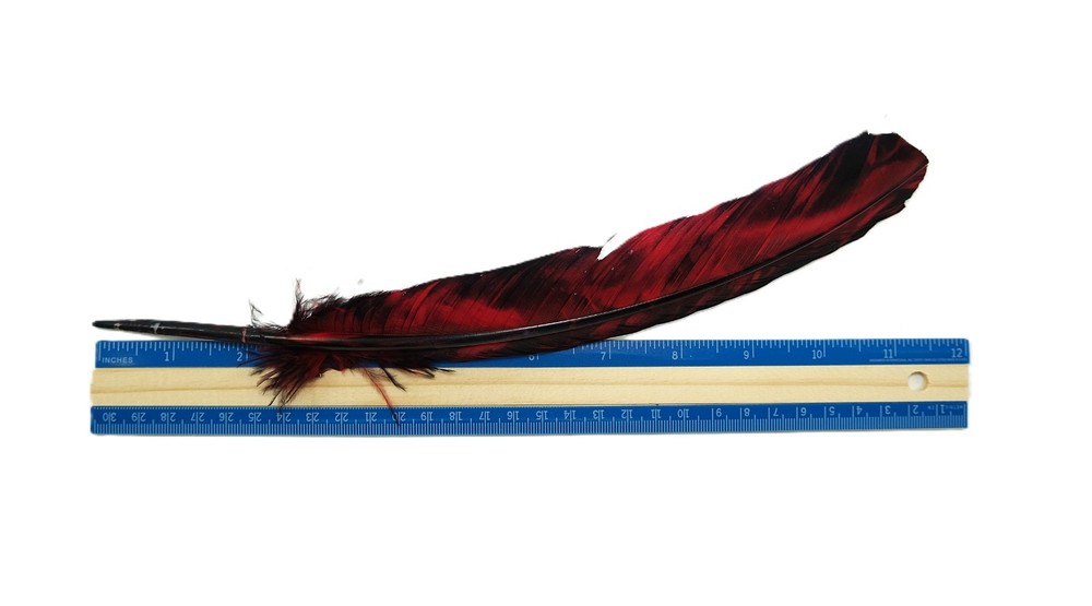Black & Red 10" - 12" Feather | Craft Supply | Smudging Feathers