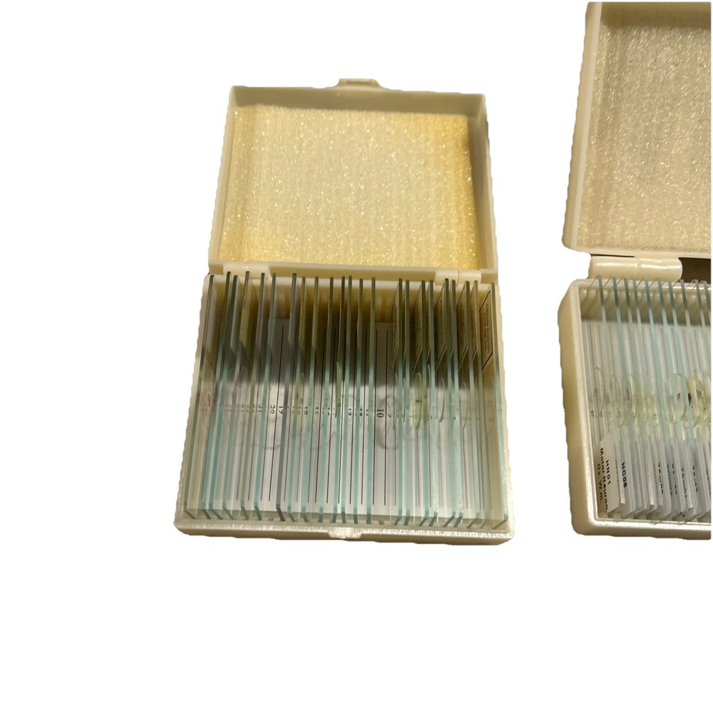 Binocular compound microscope M 82ESCO Max