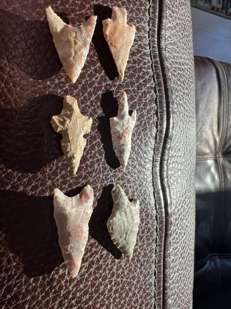 Mexican Arrowheads