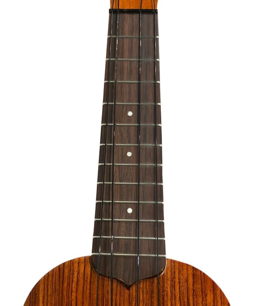 Famous Ukulele FU-150 Brown 4 String with Case