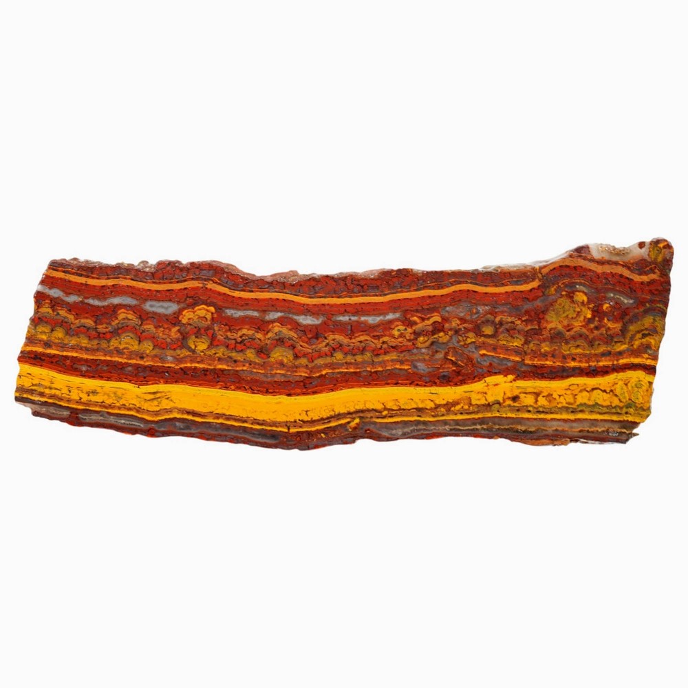 Apple Valley Jasper Slab - Gold Stromatolite Waves with Sparkle