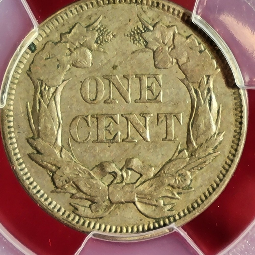 1857 flying eagle cent Pcgs Xf-40 Fs 101 Snow 4