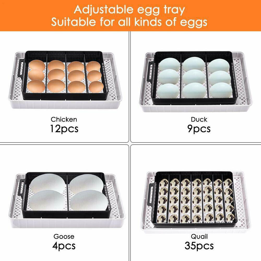 12 Eggs Incubator Automatic Egg Turning Chicken Quail Chick Hatcher Incubators