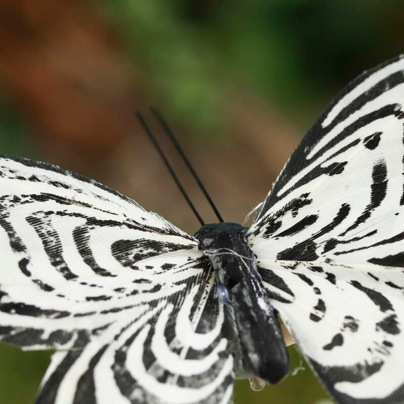 Package of 24 Black & White Colored Natural Feathered Artificial 4" Butterflies