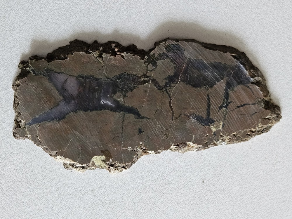 Priday moss Agate slab Unpolished Oregon 70 Grams