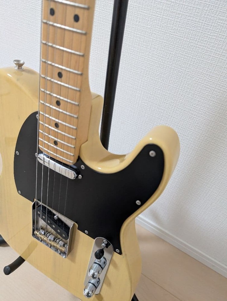 FUJIGEN Neo Classic NTE10MAH VNT Telecaster