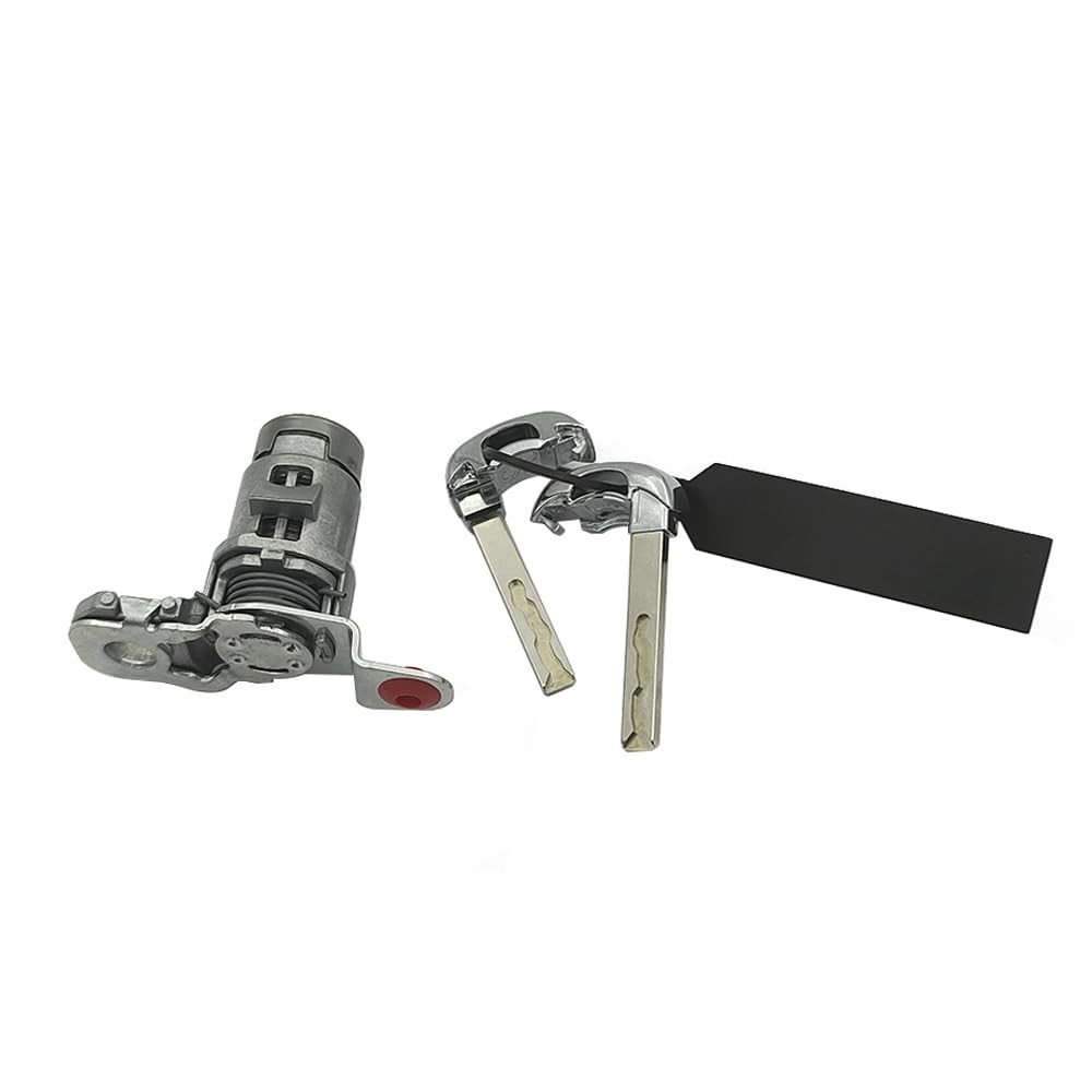 Lskioer 13590041 Front Left Driver Side Door Lock Cylinder Set w/2 Silver