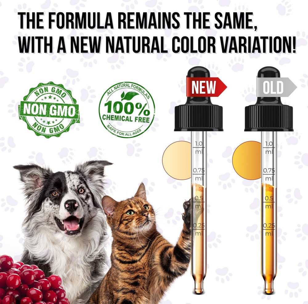Liquid Multivitamin for Dogs with Glucosamine – Help Medium, Golden