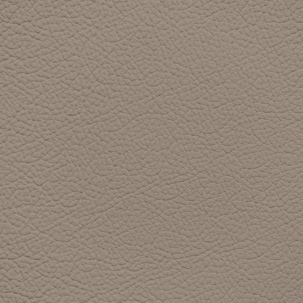 Ford/Lincoln/Mercury New Medium Parchment Leather Dye