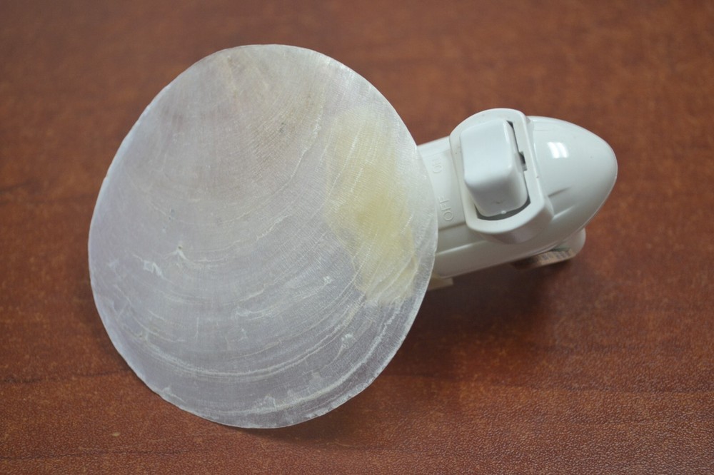 WHITE CAPIZ SEA SHELL NIGHT LIGHT #T-4088