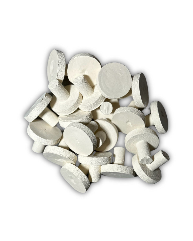 Ceramic Coral Frag Plugs, 100 pack, 1" - White