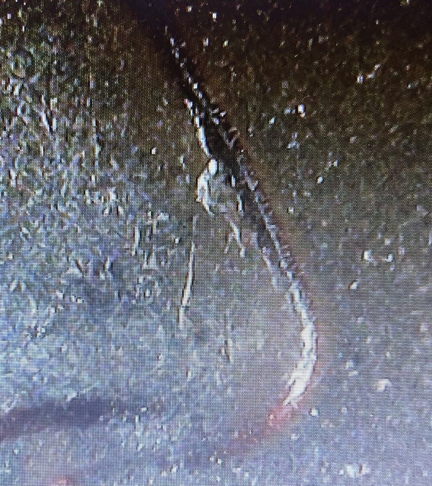 Error 2023 P Jovita Idar Quarter Coin