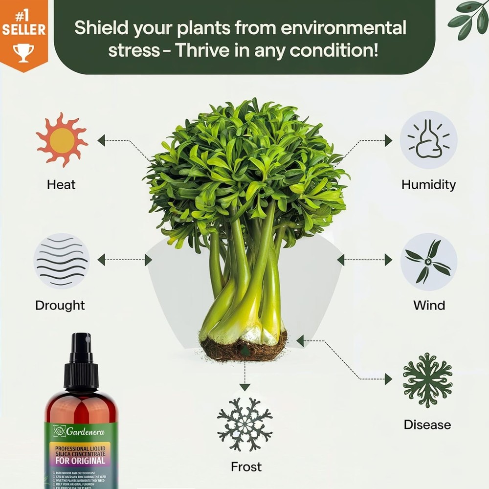 𝐏𝐑𝐄𝐌𝐈𝐔𝐌 Liquid Silica Plant Supplement - 8oz (250mL)
