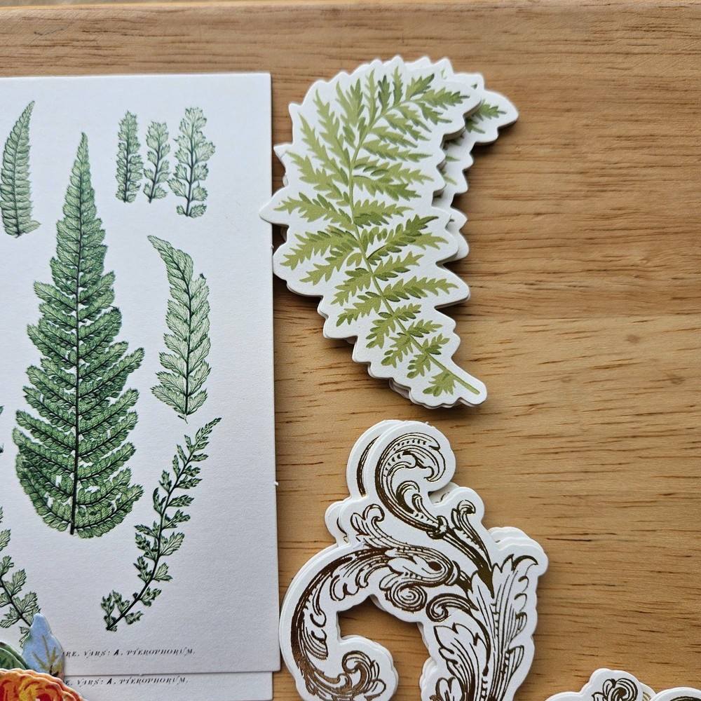 Anna Griffin 30 Pc. Embellishments Stickers