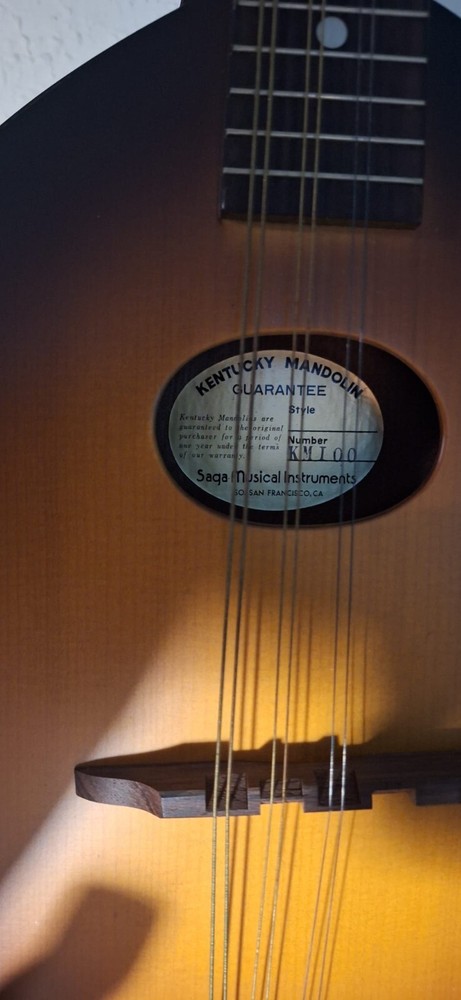 kentucky mandolin KM100