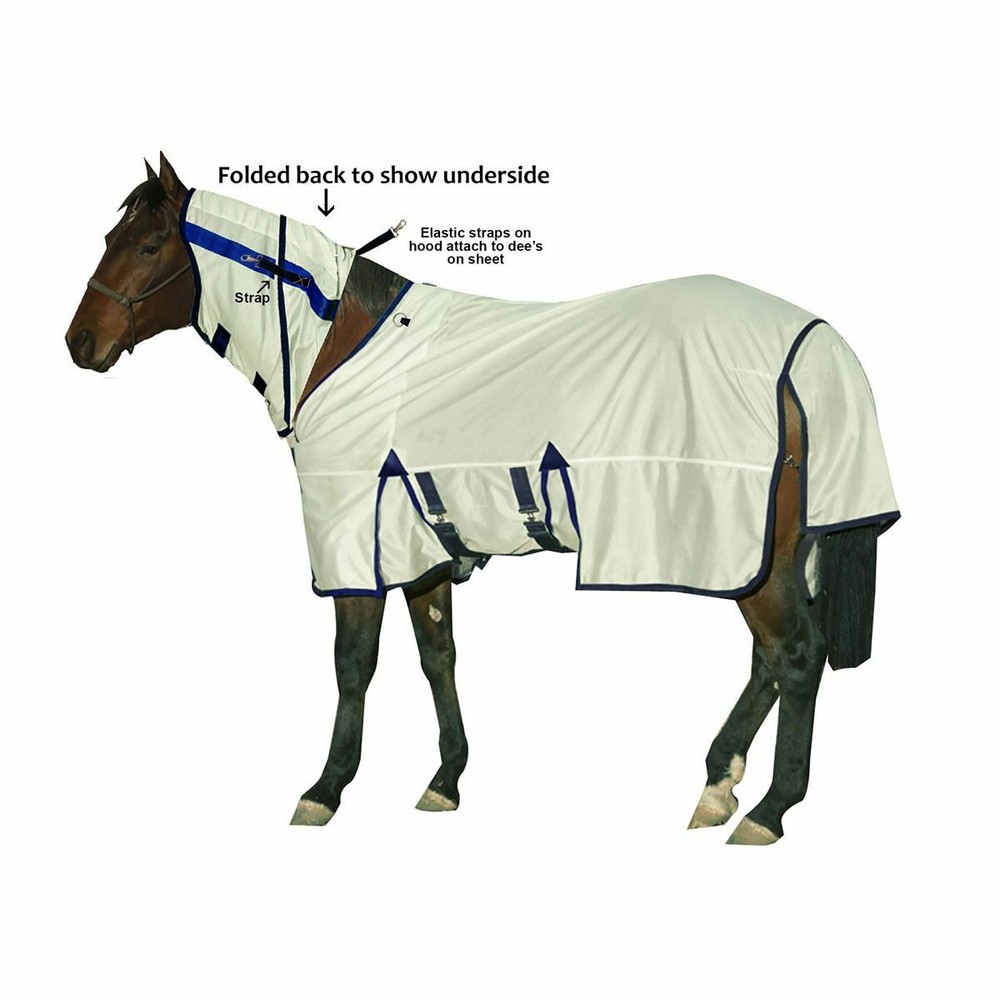 Fly Bye Horse Sheet