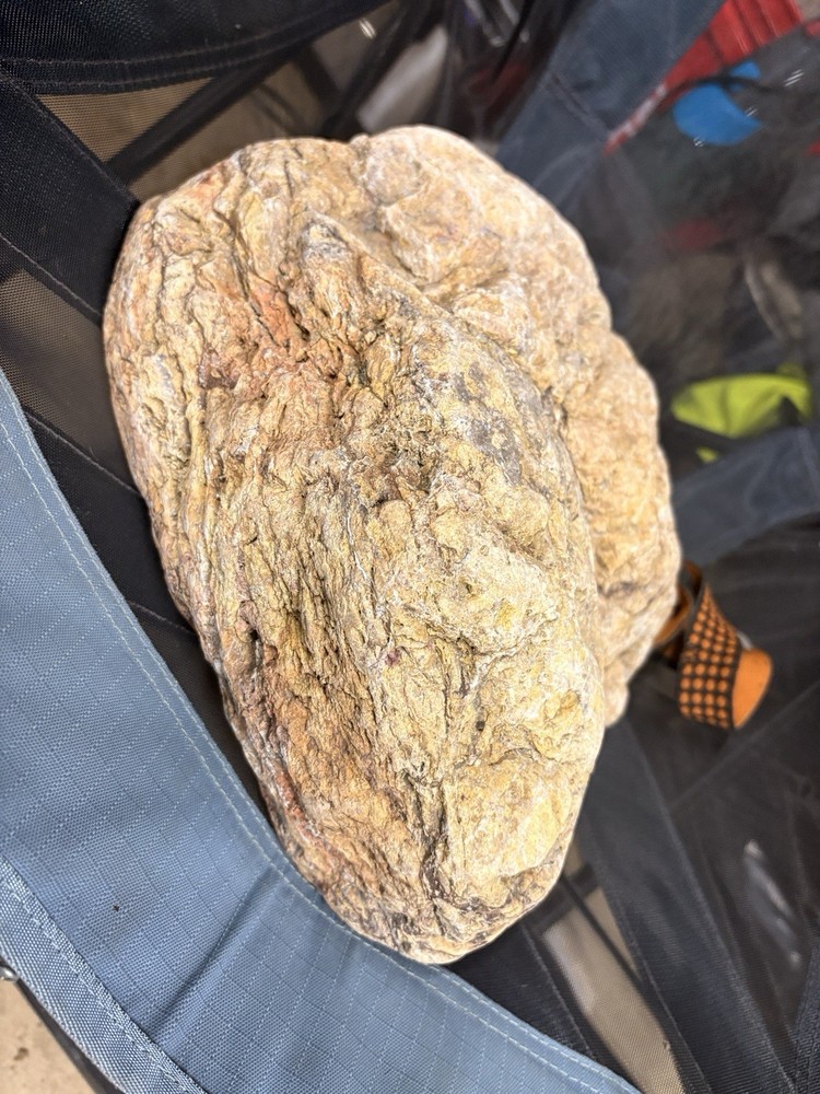 Crystallized Petrified Wood