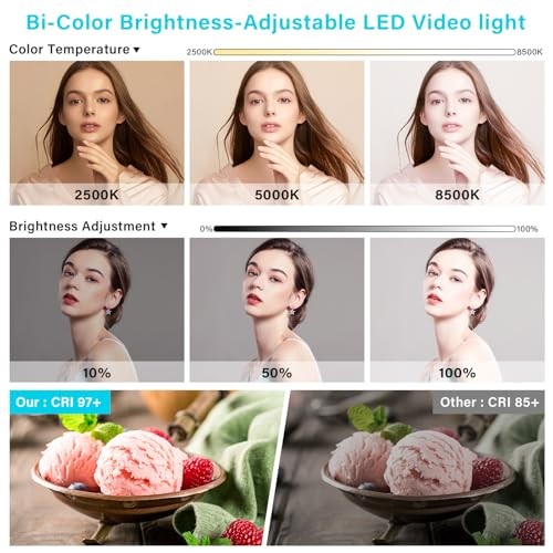 2 Pack Led Video Light Panel Lighting Kit with Barn Doors, 8000mAh