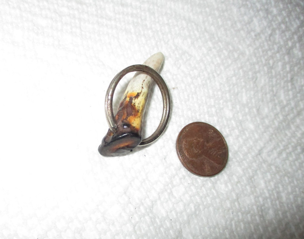 Polished Antler Keychain