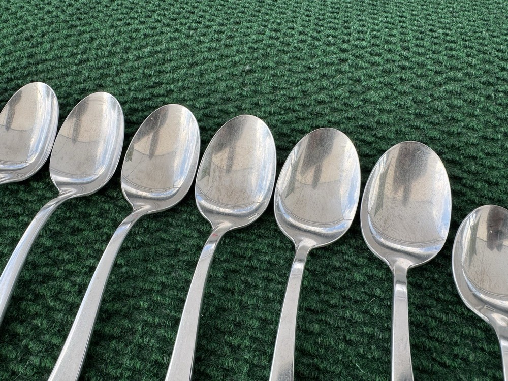 Nancy Prentiss NPS2 Stainless Curved Handle Satin Silverware Flatware 66 Pieces