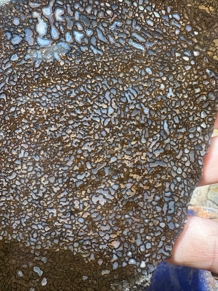 Dinosaur bone rough **hxtled slab.