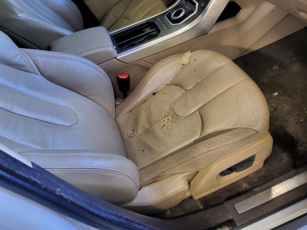 EVOQUE 2013 Battery Tray 575284