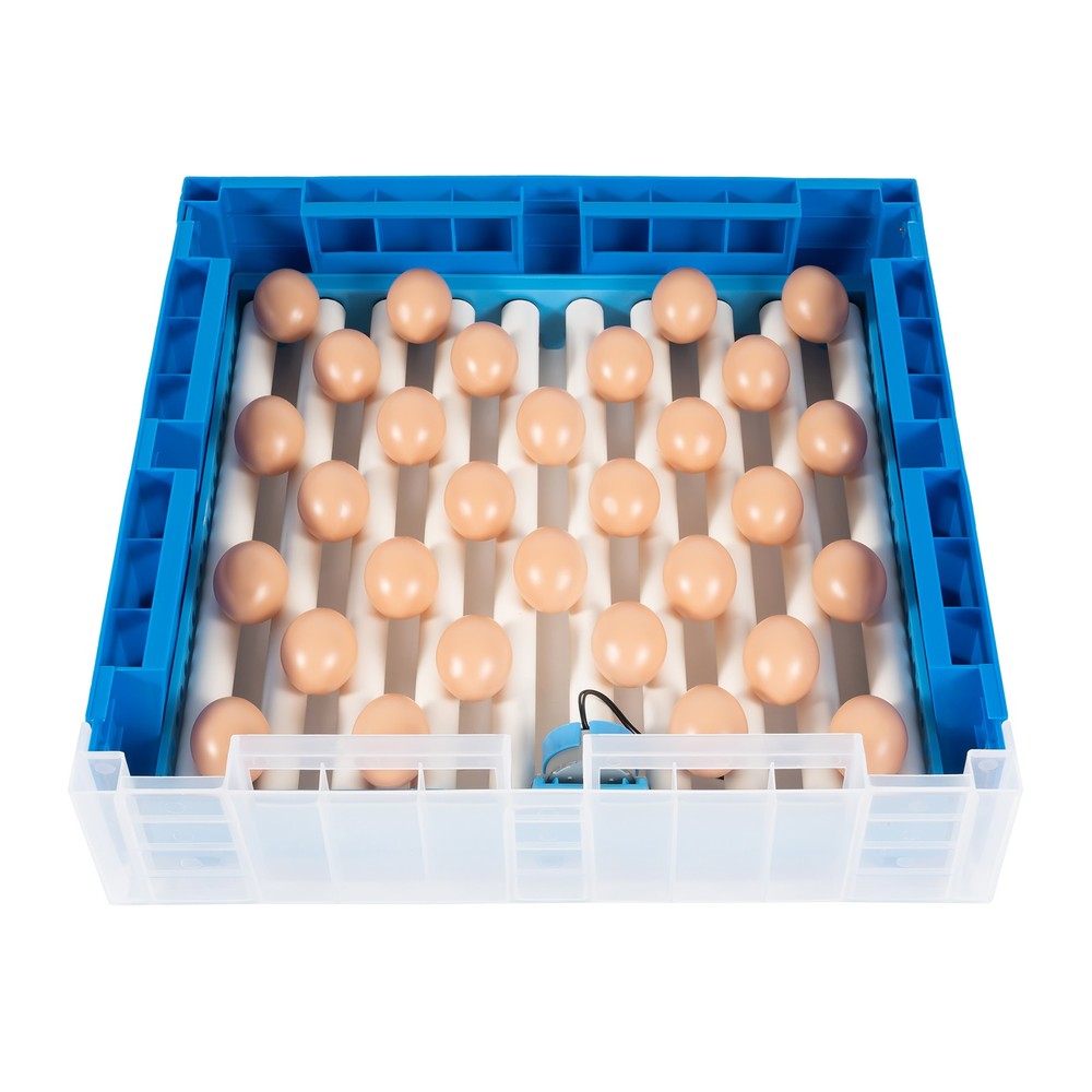 64 Eggs Incubator Automatic Digital Chicken Egg Hatcher Temperature Control US