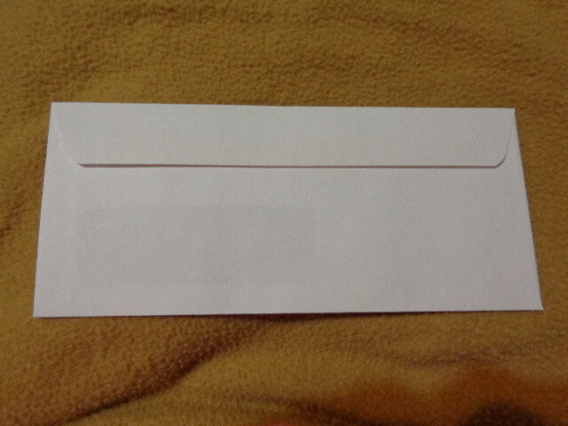9, 10, 15 White Blue Security or Non Security Envelopes With Window You Pick