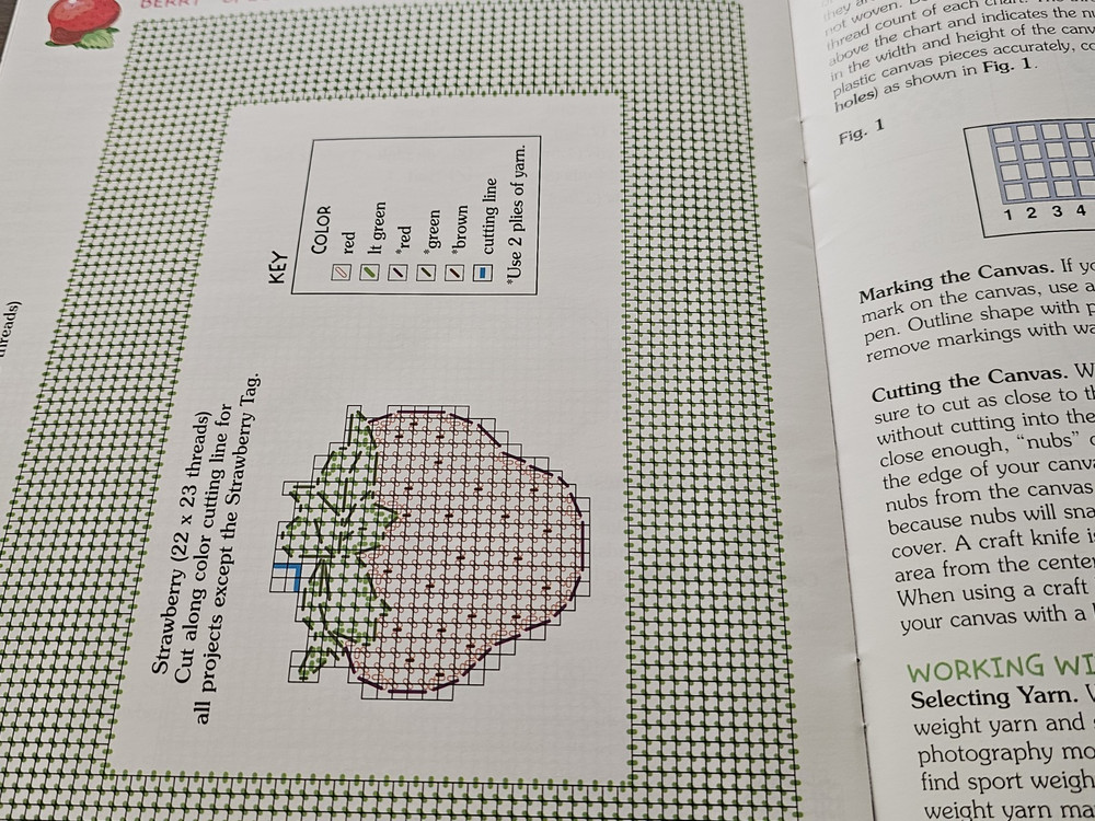 Strawberry Shortcake Frames & Keepsakes Booklet Plastic Canvas Craft Patterns