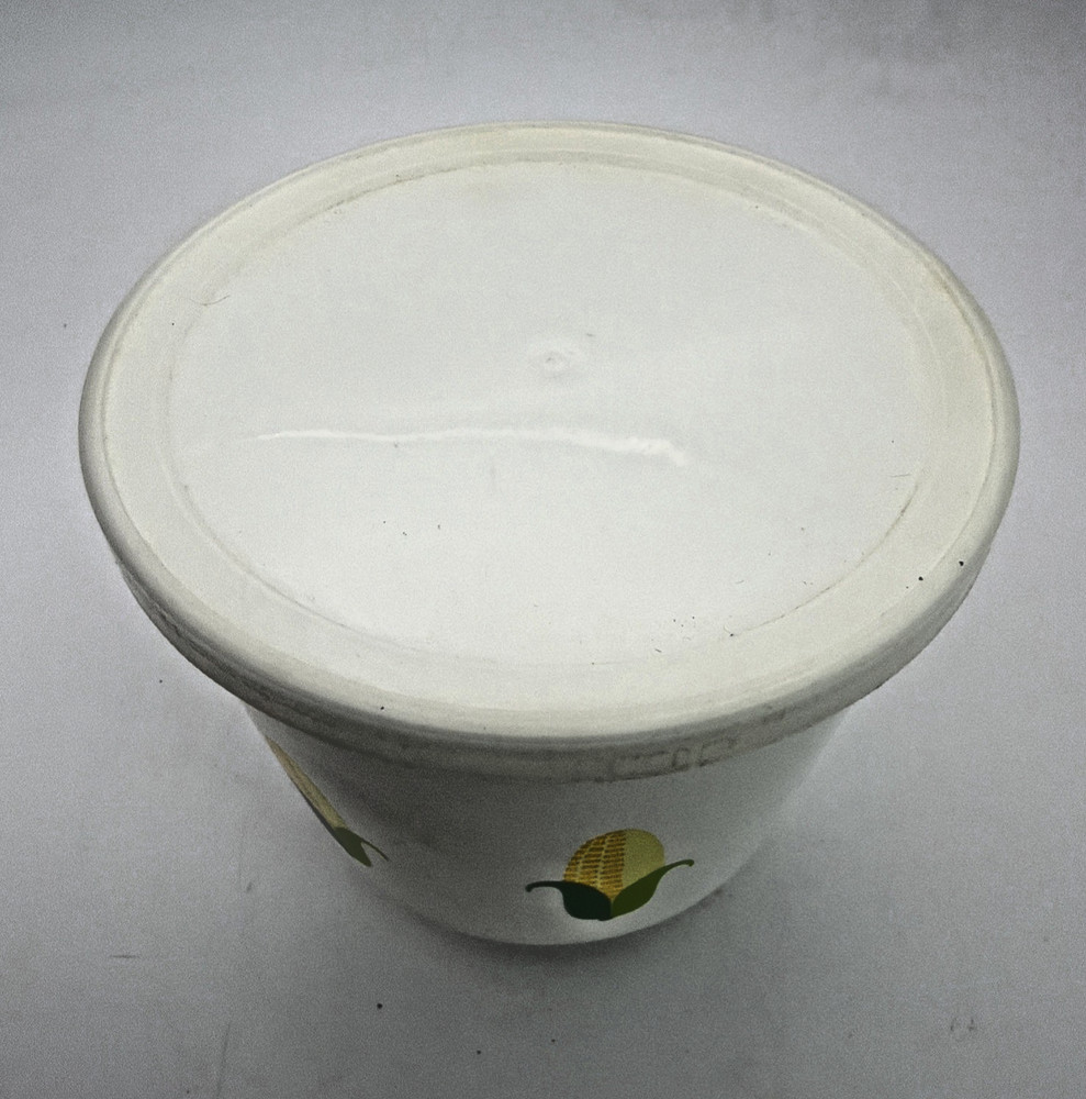 Fleischmann's Margarine Vintage Plastic Container, Pre-owned