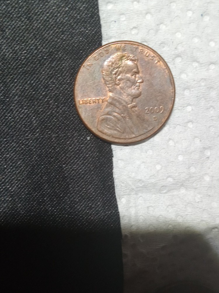 2009 Pennies Formative Years Sitting On Log