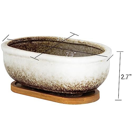 Succulent Pots, 7.9 Inch Long Rectangular Succulent Planters with White