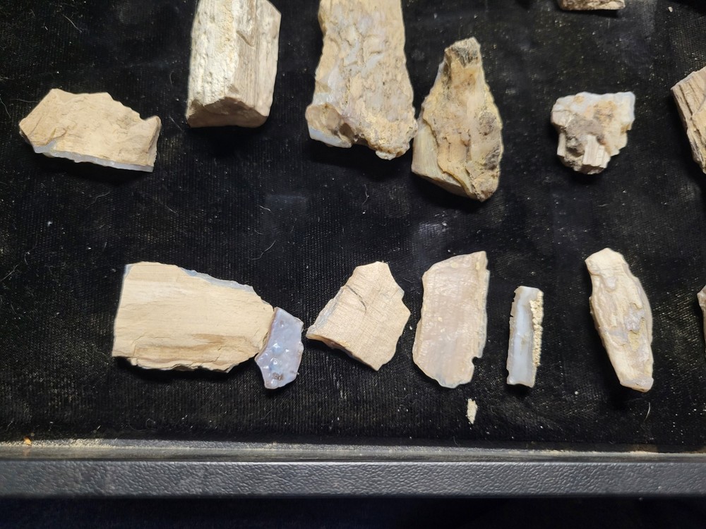Opal Wood Eden Wyoming.