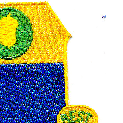 347th Infantry Regiment Patch