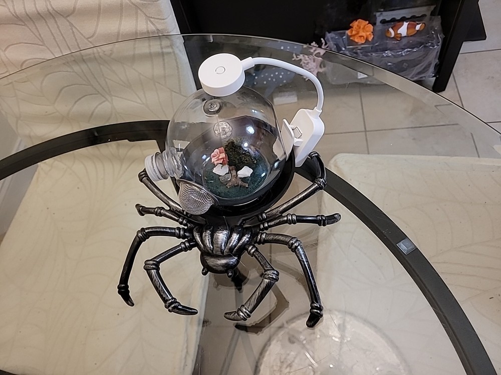 Jumping Spider, Insect Terrarium, Bug Enclosure Silver With Led New Version