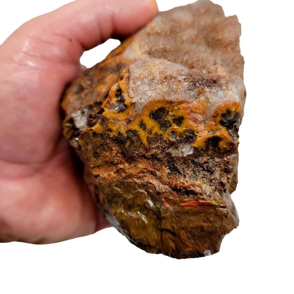 Moroccan Plume Agate Rough Chunk!