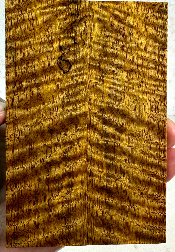 Stabilized Curly Mango Knife Scales | SCM 407
