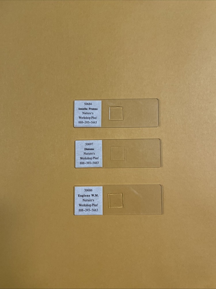 Slide Set for Exploring Creation with Biology - Nature’s Workshop Plus!