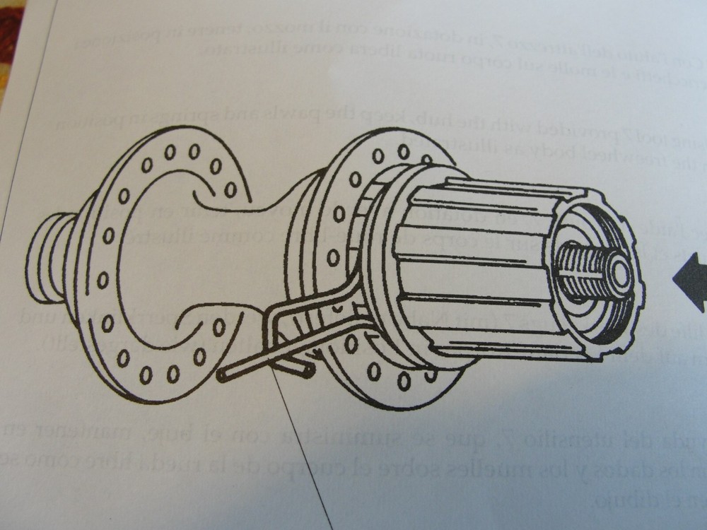 Campagnolo freehub tool spring retainer, new