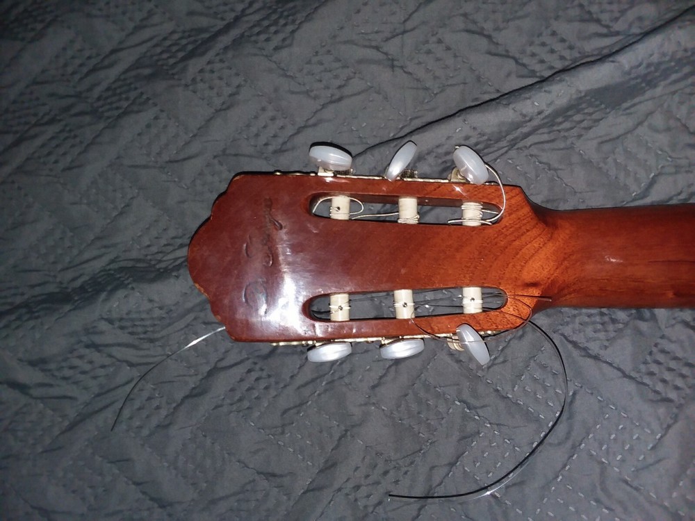 DiGiorgio signorina guitar