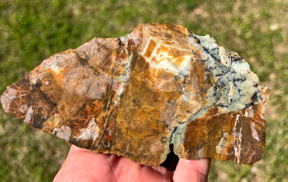 Cool multi-colored Dendritic JaspAgate - ready for cabbing - 147g