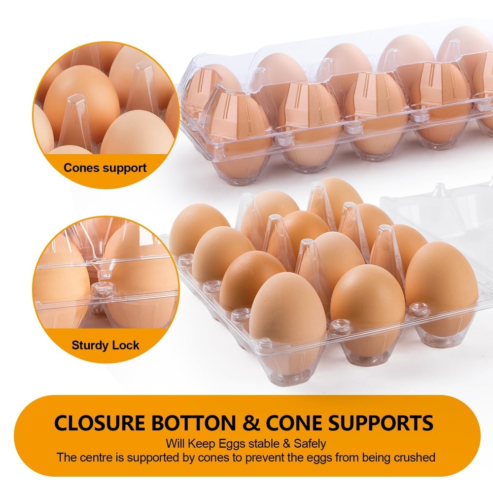 48 Pack Egg Cartons Cheap Bulk 12 Count, 1 Dozen Clear Empty Chicken Egg Cart...