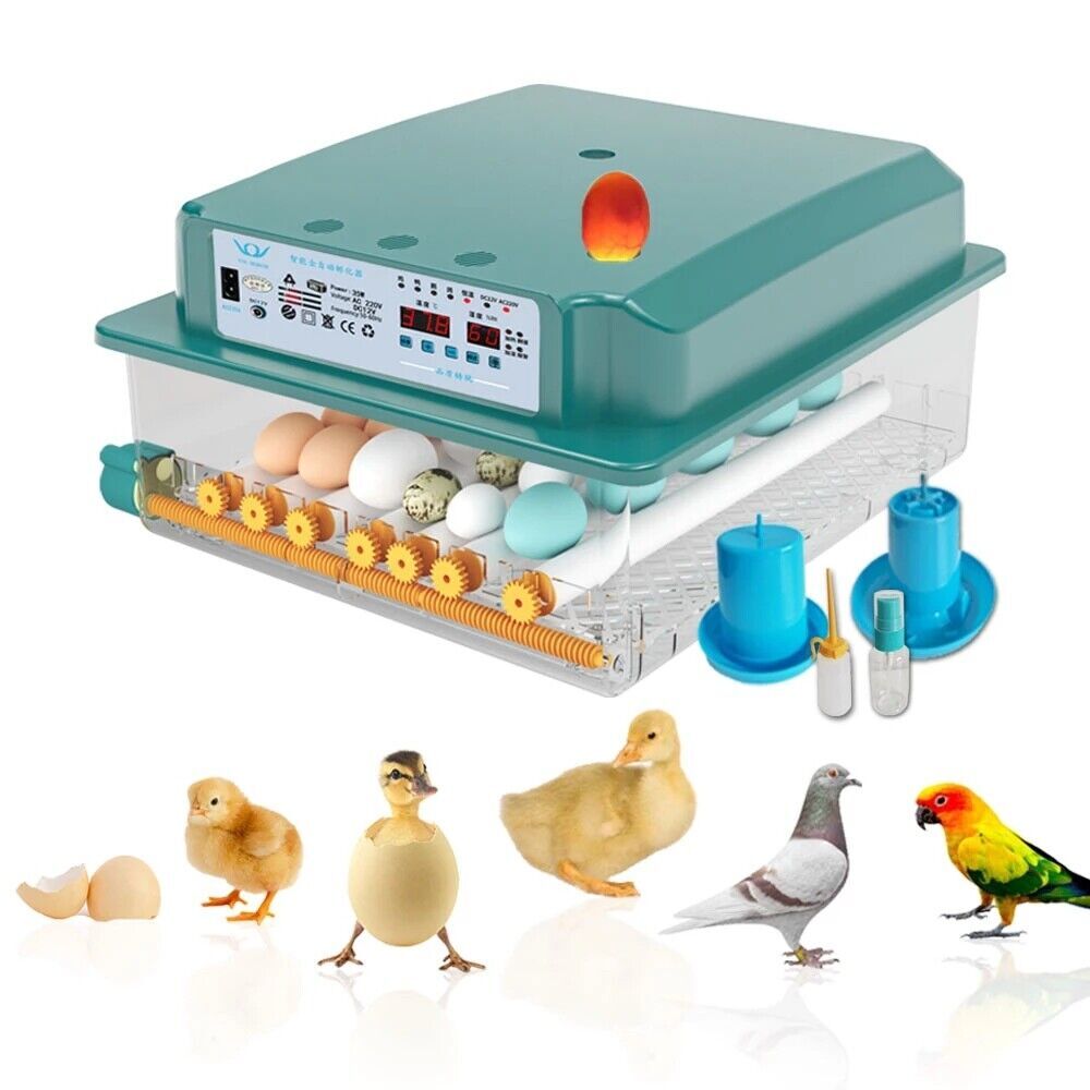16/36 Egg Incubator Chicken Quail Hatcher Incubators Automatic Egg Turning