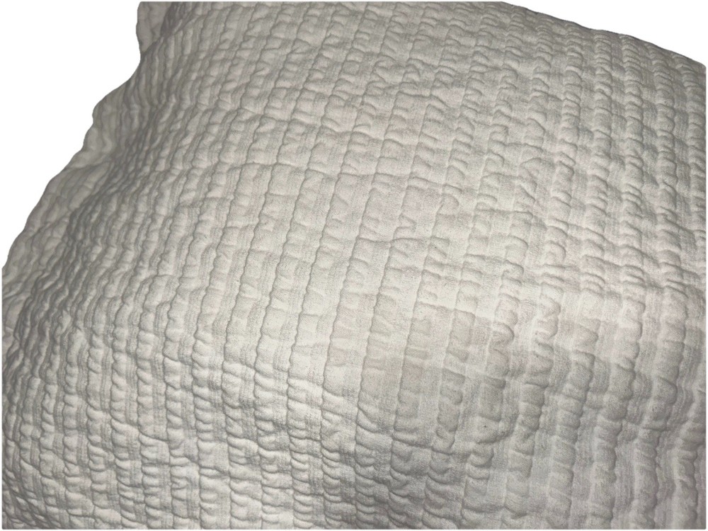 2 Pottery Barn Standard Pillow Shams 26X20